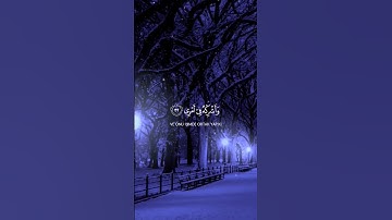 ٤ قَالَ رَبِّ ٱشۡرَحۡ لِی صَدۡرِی ۝٢٥ وَیَسِّرۡ لِیۤ أَمۡرِی ۝٢٦  #القارىء #شريف_مصطفى #سورة_طه