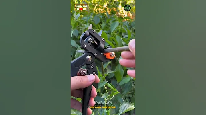 The Ultimate Plant Grafting Tool: A Game-Changer