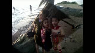 Reggea Pantai Losari.wmv