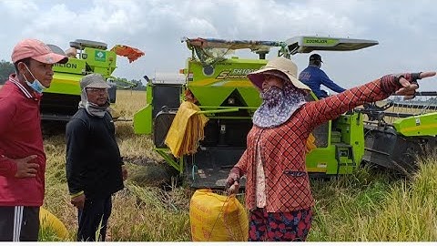 hai máy cắt trung Quốc F100 cắt lúa công 350K tập34 #maibangtv