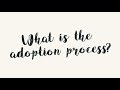 Our Adoption Journey: The Domestic Adoption Process