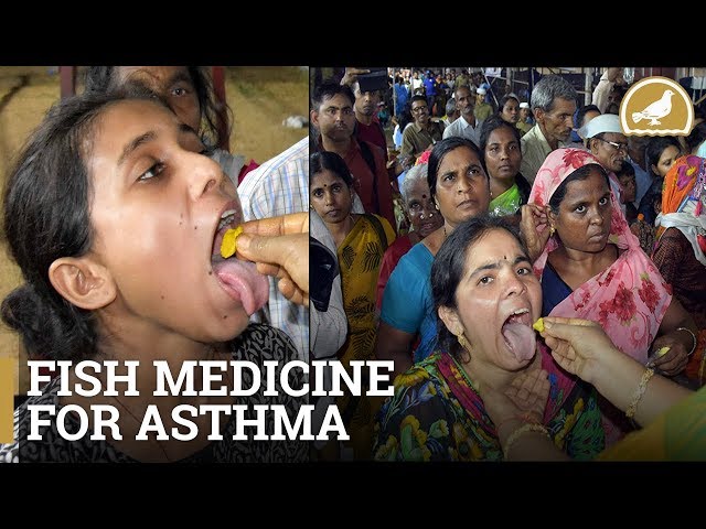 90500 People Made Good Use Of Hyderabad Fish Medicine In 2019 90500 People Made Good Use Of Hyderabad Fish Medicine In 2019