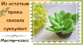 Вязаные крючком суккуленты. Мастер класс 2021г.