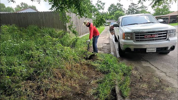 The Sidewalk Was LOST for Years… Neighbors Didn’t Even Know It EXISTED!