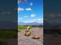 Simulate extreme hunting &amp; survival skills vol180 rdr2 #shorts #short