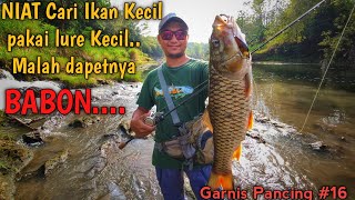 TARGET SMALL FISH USING SMALL LURE BABON STRIKE INSTEAD || JOGJA TOURIST RIVER || KALI OYO || #16