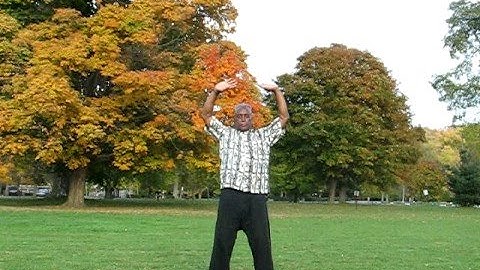 Meridian Tracing - part 1 of 3 - by Master Maurice Haltom