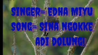 Sina Ngokke Adi Dolung||Lyric Video Song||SingerEdha Miyu||