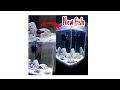 Buying New Fish 😁 | New fish lay Aya 😍 | Add New Fish to an Aquarium | Mr Khan Zone