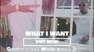 Paul Prince - What I Want (Official Music Video)