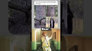 Je Suis Choqué 😨