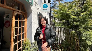 Treevo Hotel Varuna || Shimla hotel price || room prize and review || complimentary breakfast