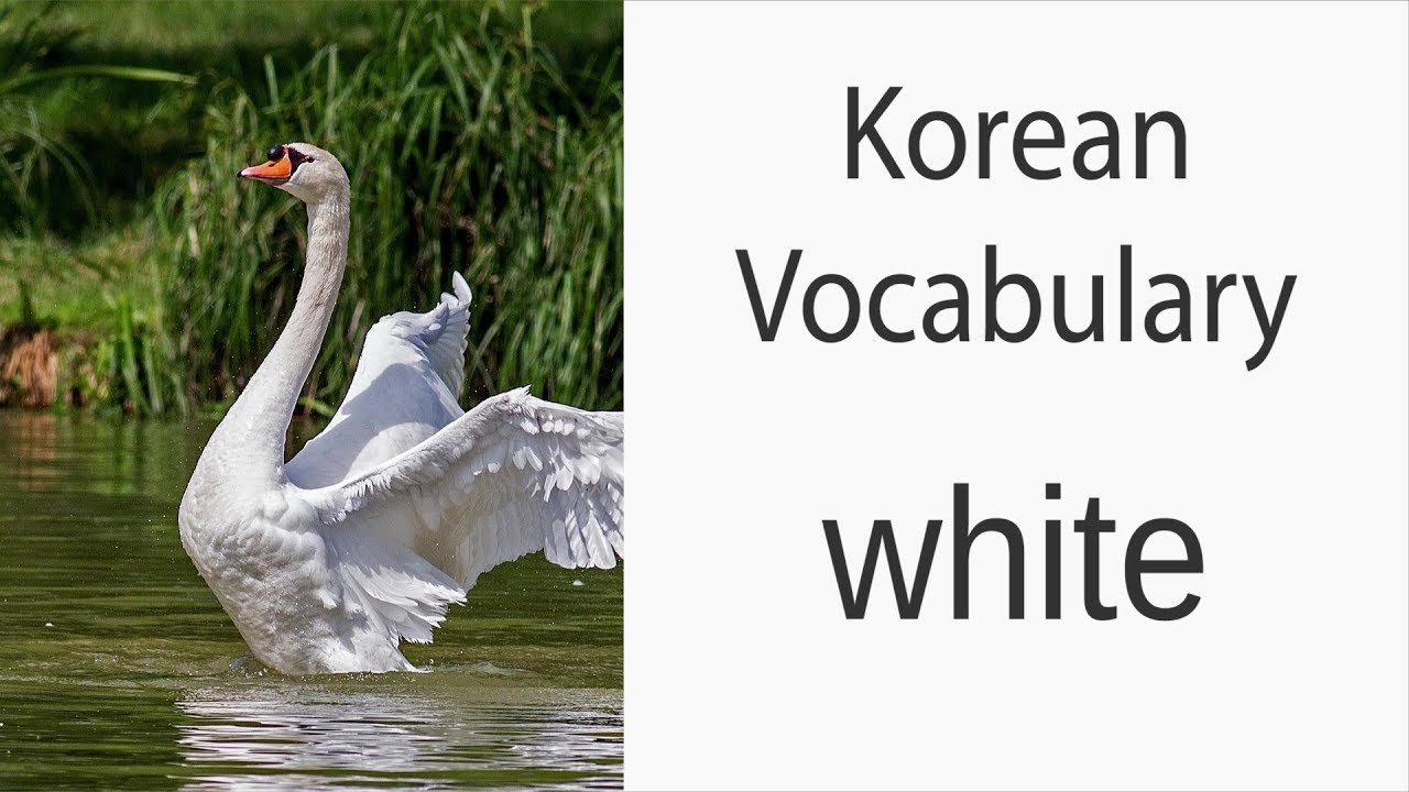 How To Say White In Korean YouTube how-to-say-white-in-korean-youtube