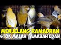 HARGA BURUNG KENARI DI PASAR BURUNG PRAMUKA MENJELANG PUASA