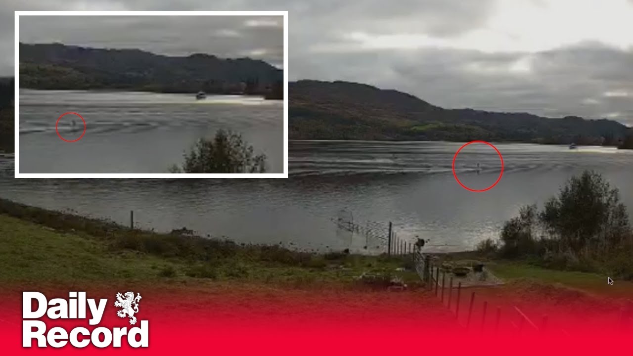 Loch Ness Monster: Sighting of Anaconda type neck on webcam