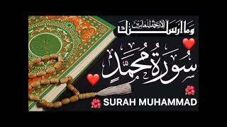 surah Muhammad/ in /qari Abdul basit voice/ viral video/