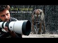 Pench national park tiger tracing 3 tigers headon sighting jungle safari rohan travel stories