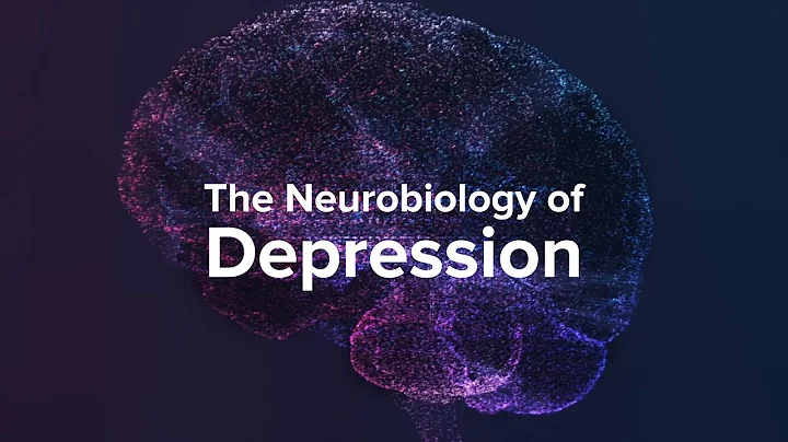 How Depression Affects The Brain - Yale Medicine Explains - DayDayNews