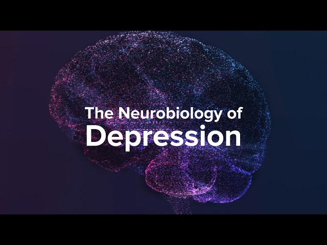 How Depression Affects The Brain - Yale Medicine Explains class=