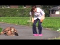 Training tour of the Eagle Owl