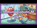 Immunoglobulin igm or igm usmle mnemonic preview