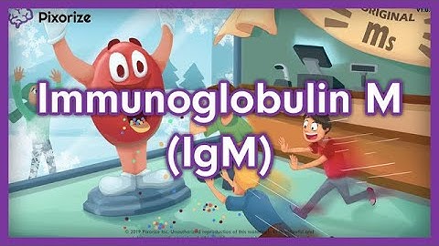 Immunoglobulin IgM or IgM USMLE Mnemonic Preview