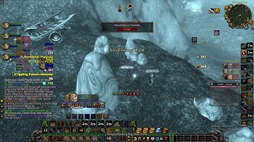 Turtle WOW,retribution paladin in WSG - the horde had too many casters