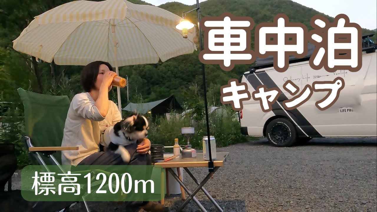 【犬と車中泊キャンプ】暑い夏は標高1200mへ！無料とは思えない高規格キャンプ場、木曽駒冷水公園へ