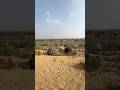 मारवाड़ कि देसी ढाणी 🥰 #villagelife #home #house #youtubeshorts #shorts #thar #desi #desert #funny