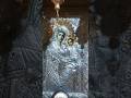 Icoana Maicii Domnului făcătoare de minuni de la Sihăstria Rarăului #2025 #travel #religion #live