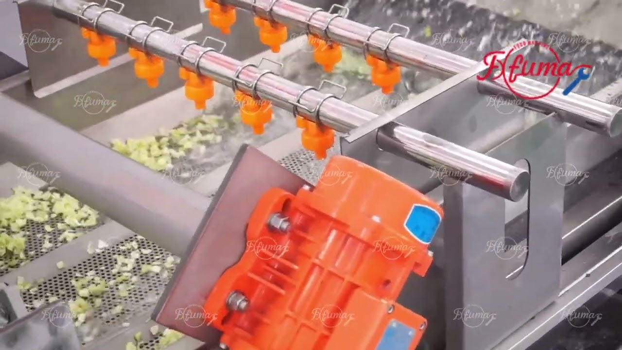 Vegetable Processing Line - Cabbage Cutting, Washing and Spinner Drying Machine - FXFM MACHINE