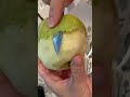Sweetest PEAR I have EVER eaten | Queen of Fruits