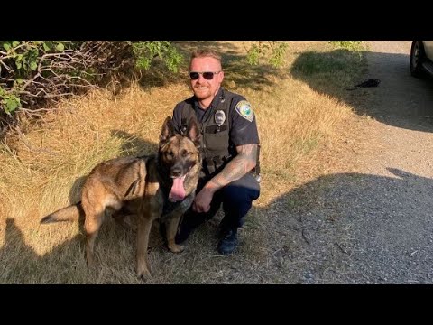 Man arrested after high-speed chase in Bozeman on Sunday - YouTube