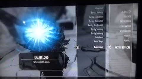 Skyrim | Perfect Character | (All Spells, All Shouts, All P