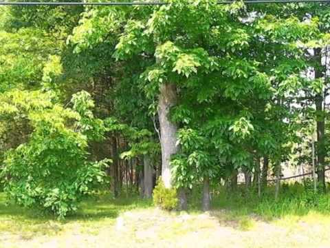25 Weston Rd, Somerset, NJ home video tour