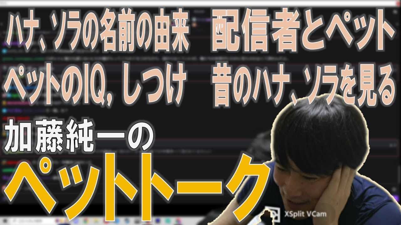 加藤純一の「ペットトーク」【2023/07/21】【加藤純一/うんこちゃん/雑談/切り抜き】