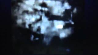 Viz Video Warning Screens & Logo 1998