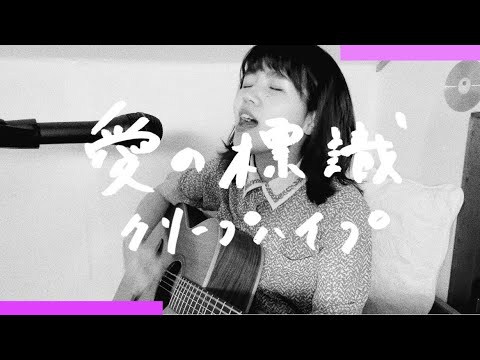 愛の標識/クリープハイプ 【asageカバー】（key: ±0）