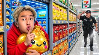 I Secretly Hid In a Grocery Store To Get the VIRAL Toy! screenshot 3