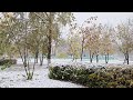 Первый снег 29.09.2025 #лисаковск #казахстан #снег