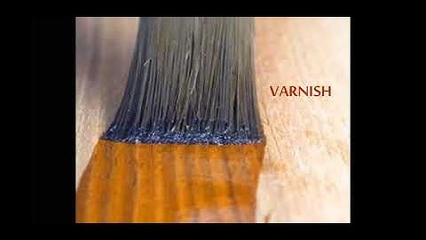 #Varnish |Lecture-6 | #BMC | Unit-I | III Sem by  #Arya College