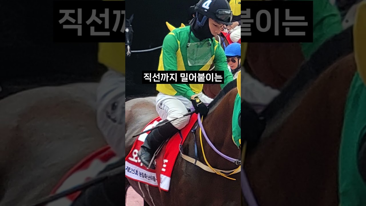 26.01.18 서울경마 03경주