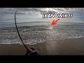 IKAN UNIK SAMBAR JIG !! Mancing UL casting pinggir pantai