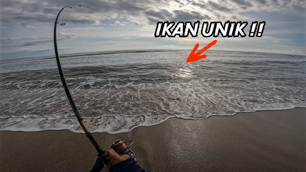 IKAN UNIK SAMBAR JIG !! Mancing UL casting pinggir pantai