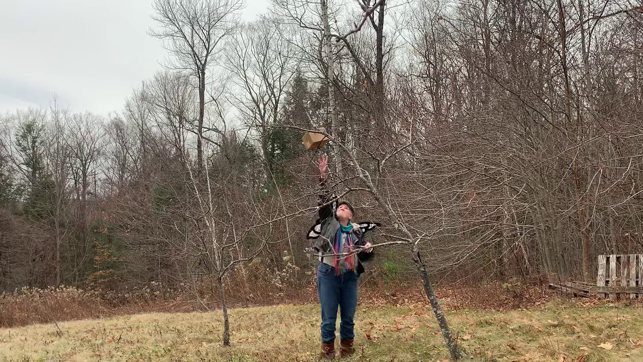 The Fairypants Family Finds a Box