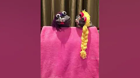 Play Therapy Puppet Assignment