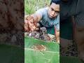 kroto umpan pancing paling gacor dan mantappp