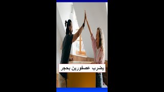 ازاي تقول (يضرب عصفورين بحجر) باللغة الإنجليزية؟ #اتعلم #Shorts