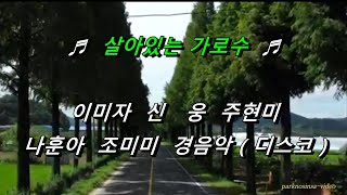 ♬ 살아있는 가로수 ♬ 이미자   신웅   주현미   나훈아  조미미   경음악 디스코 ♬ HD