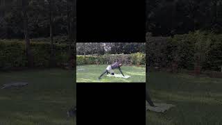 Thoracic mobility routine to improve posture, reduce stiffness &amp; restore upper back movement MBLB